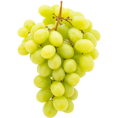 198-small-grapeseed.png