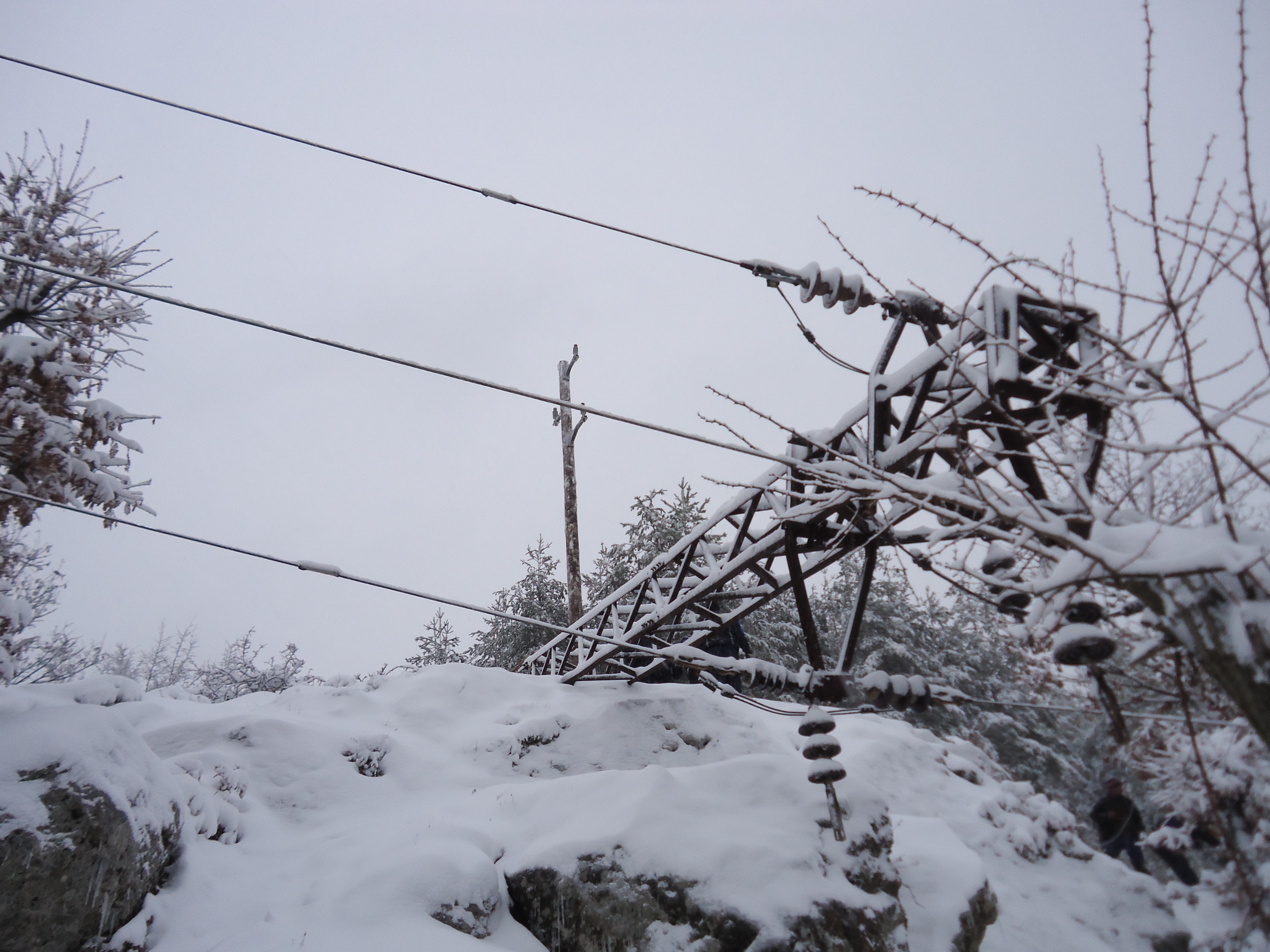 Emergency Repair Works on EVN Electricity Network Emergency Repair Works on EVN Electricity Network