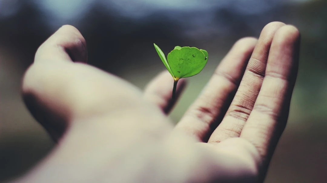 r118-adus32i0jc.jpg