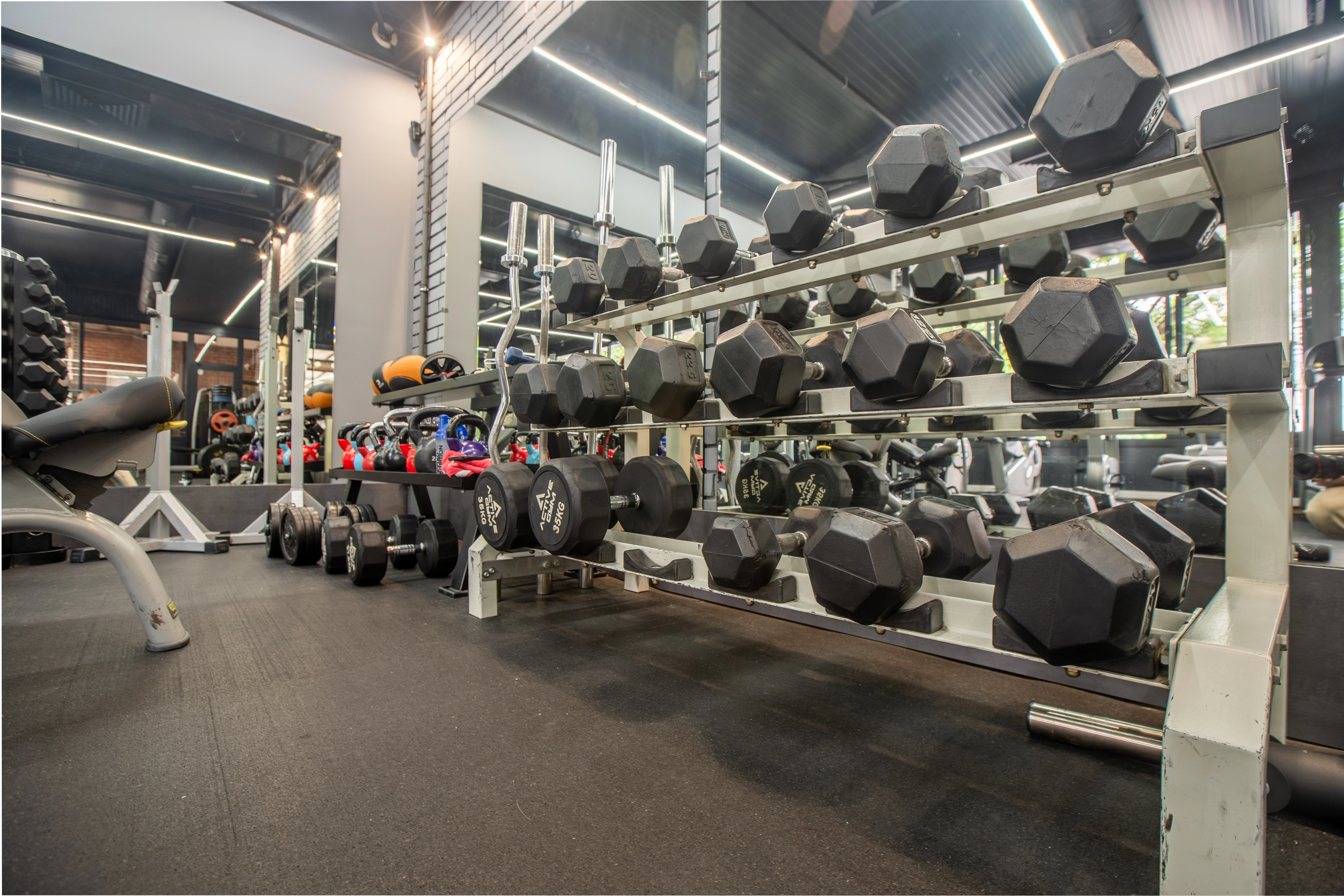 140-energyfitnessbanishora0031-17183635654289.jpg