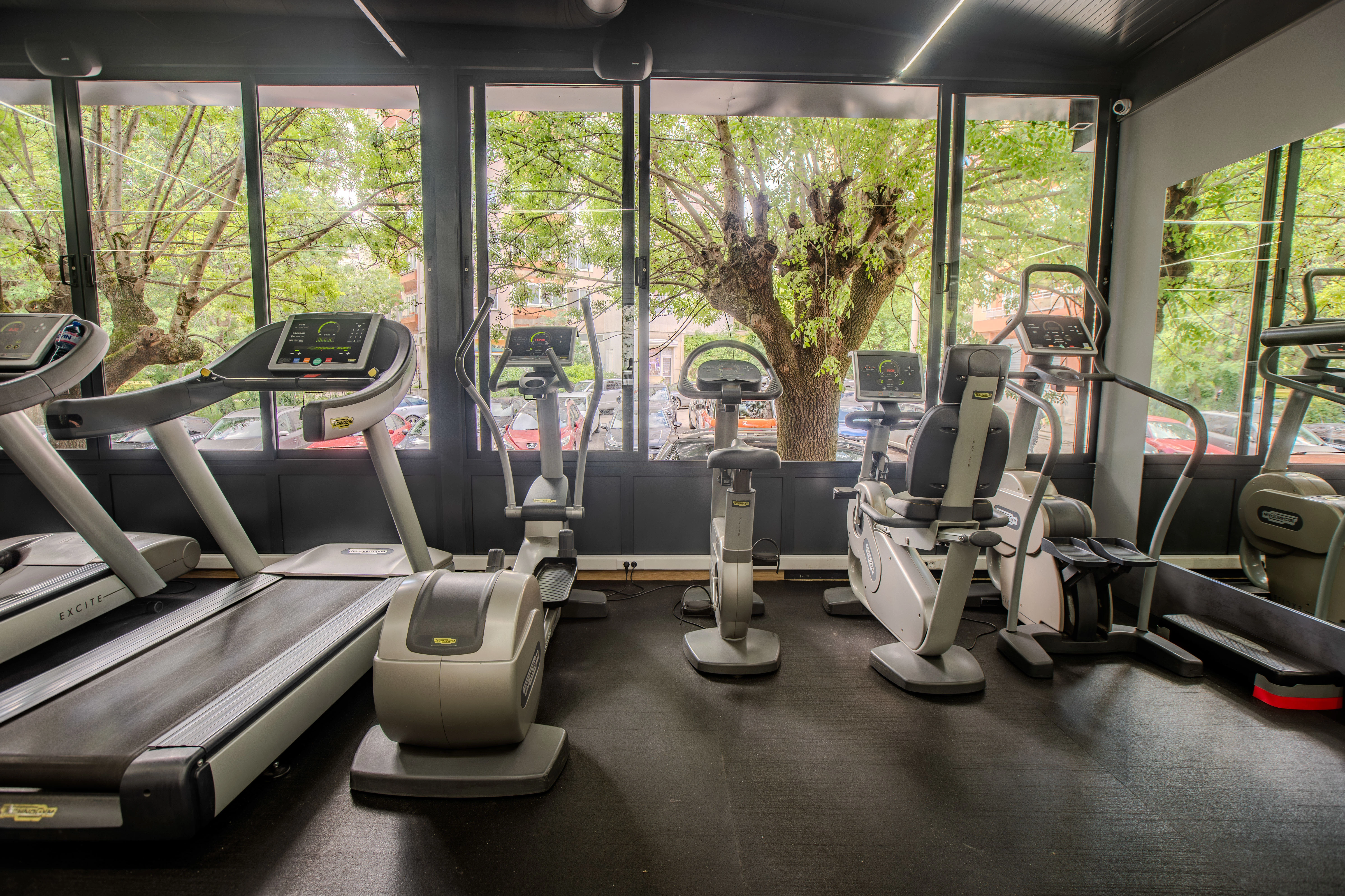 140-energyfitnessbanishora0032-17183635648467.jpg