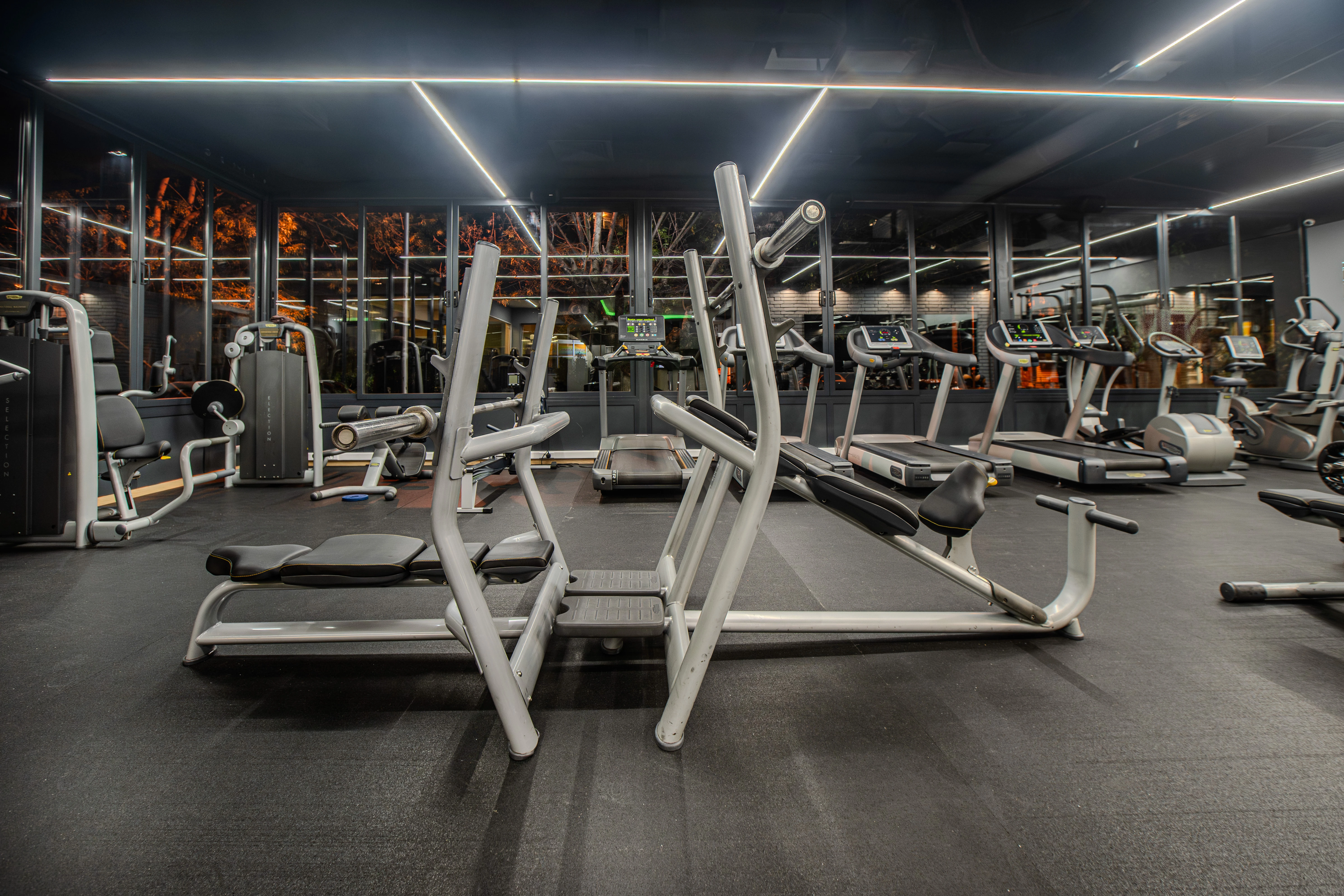 140-energyfitnessbanishora0050-17183635658509.jpg
