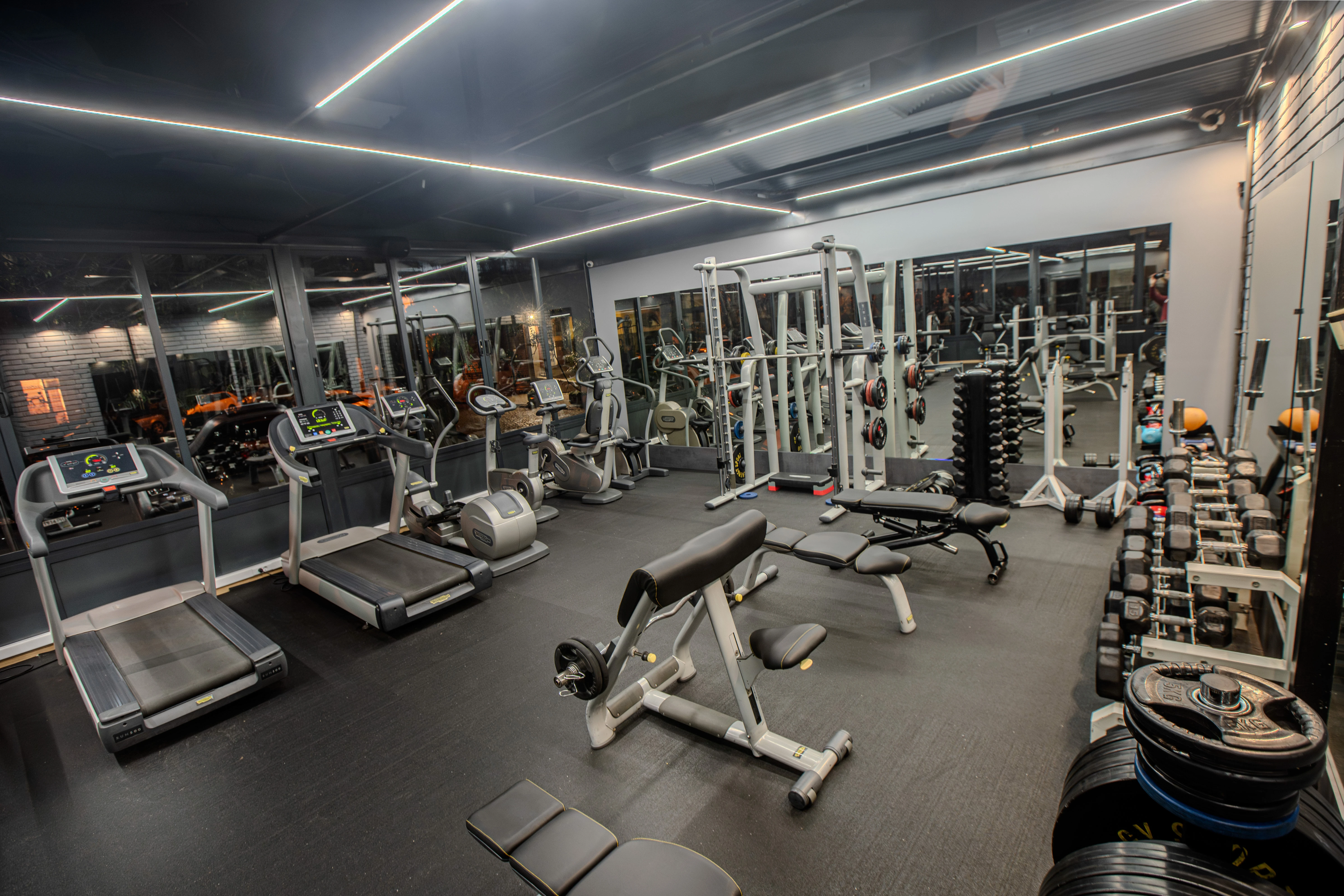 140-energyfitnessbanishora0053-17183635655603.jpg