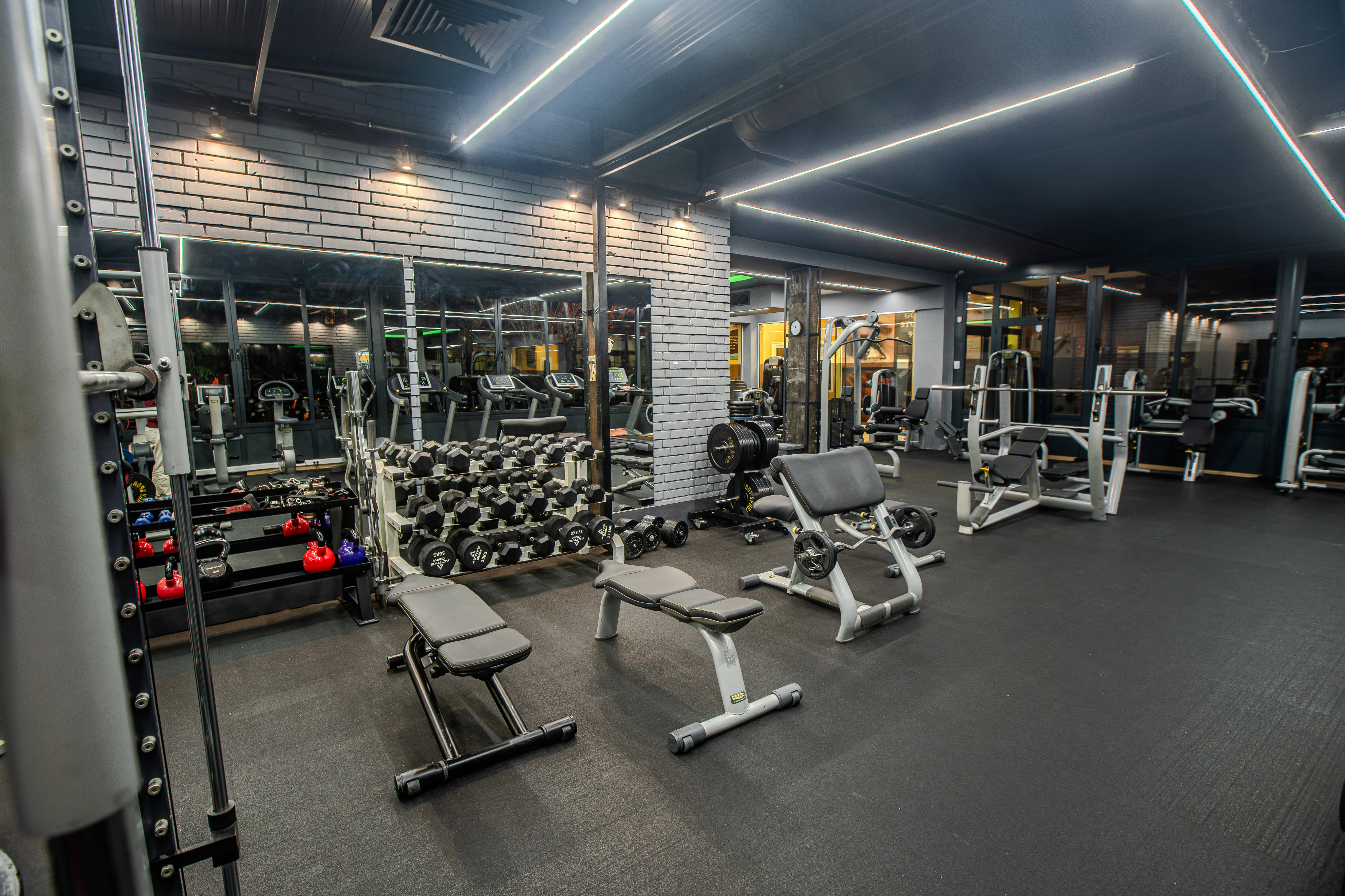 140-energyfitnessbanishora0057-17183635648659.jpg