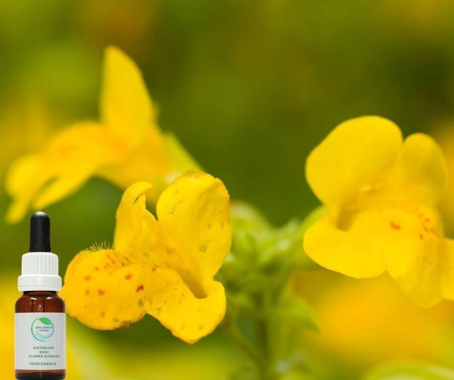 Mimulus – Капки на д-р Бах при конкретни страхове