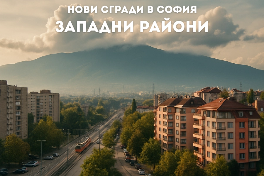 547-3-17502710439017.png