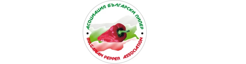 791-untitled-design-11-17745320114761.png