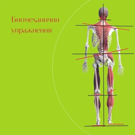 Биомеханични тренировки