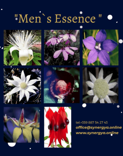„Men`s essence“ - в помощ на мъжкото здраве