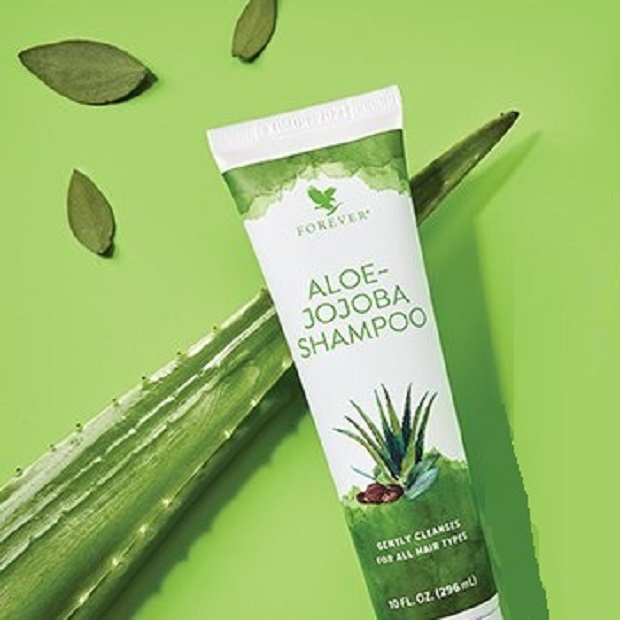 aloe vera drink aleo Aleo King Original 500ml – Only Filipino main image 0