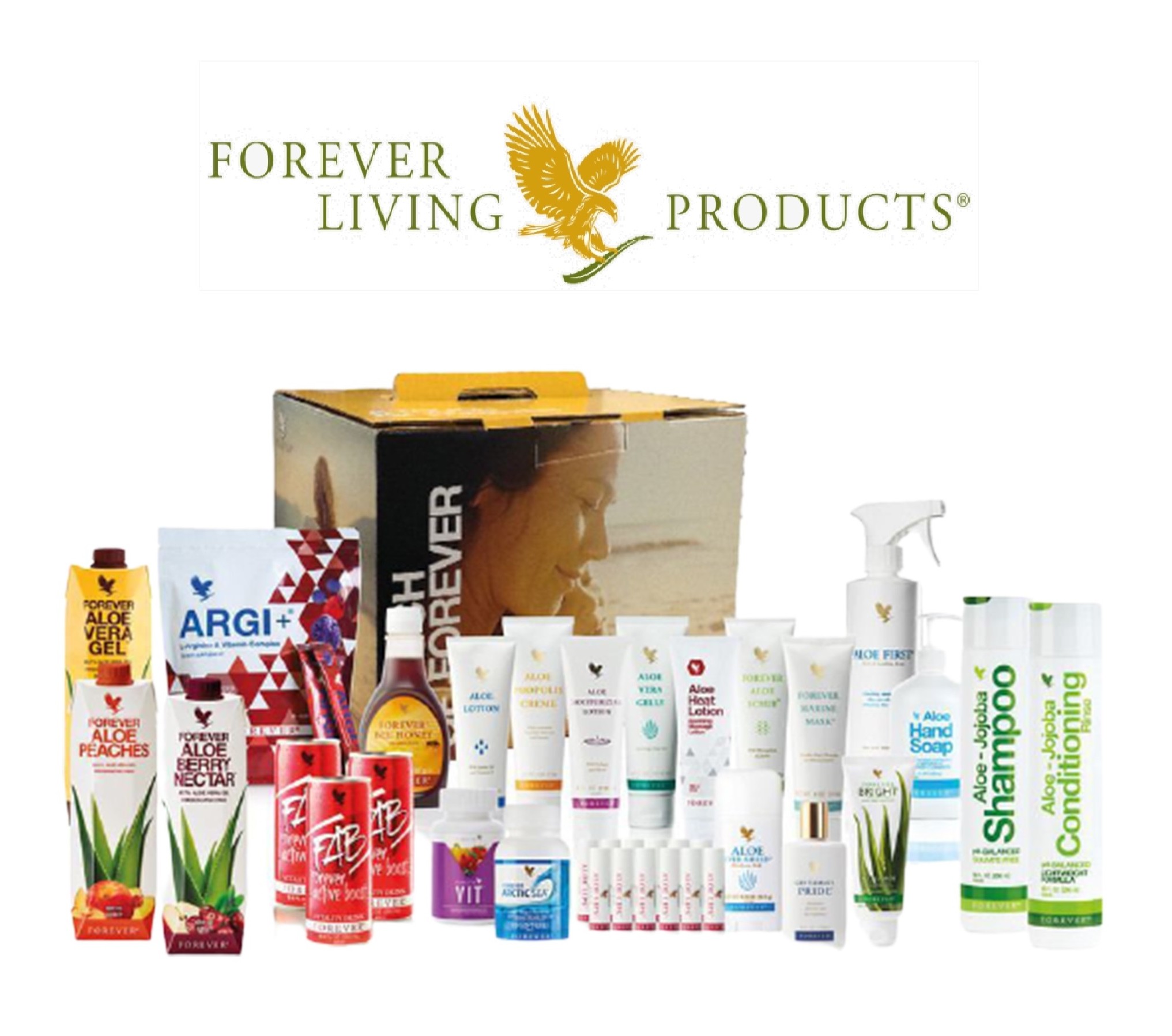 2902033179876-forever-living-touch-of-forever-pack-2017.jpg