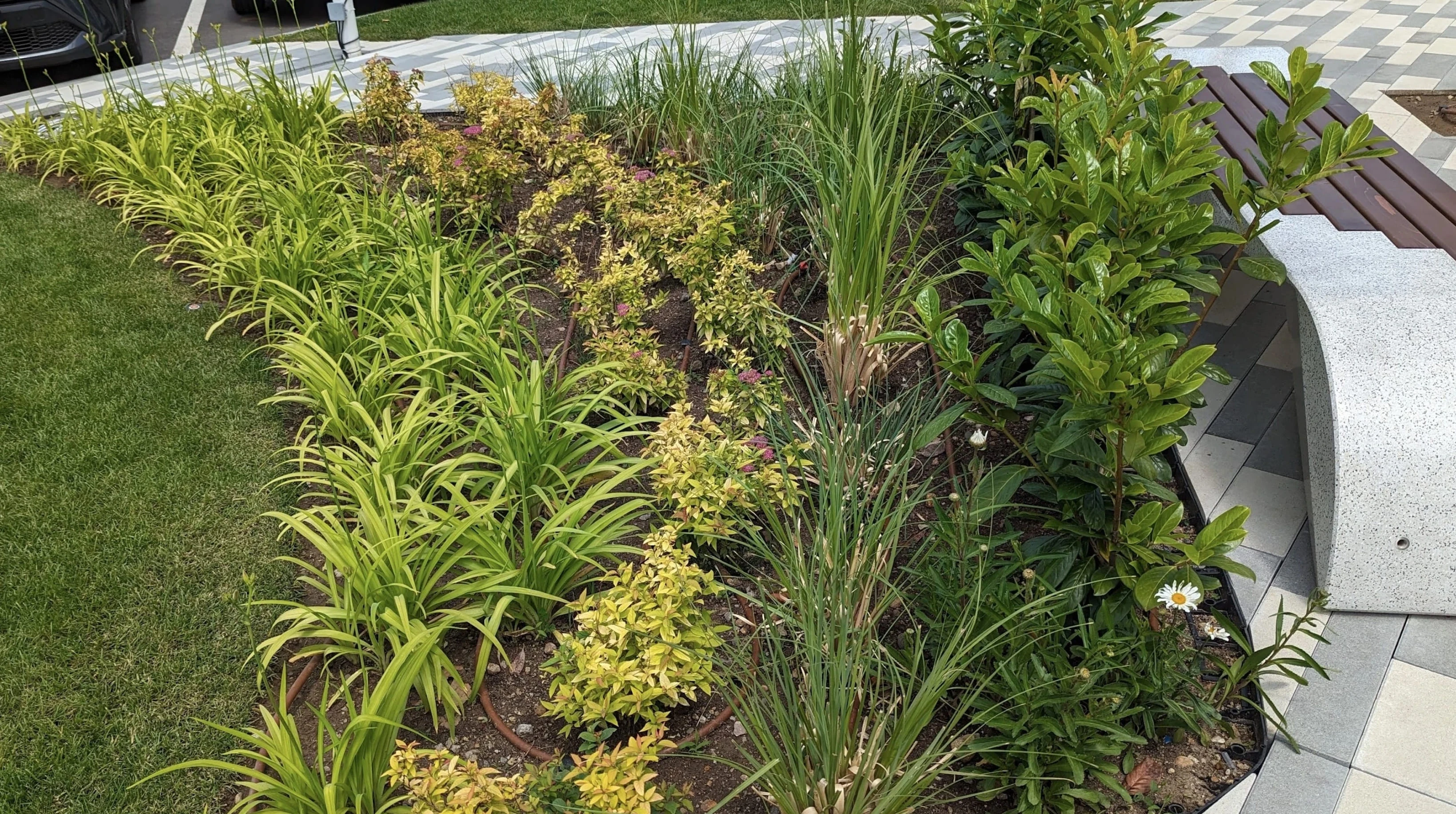 r46-garden-1-17761868915977.jpg