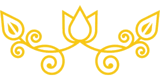080320160381-imageedit478382316759-16950671913671.png