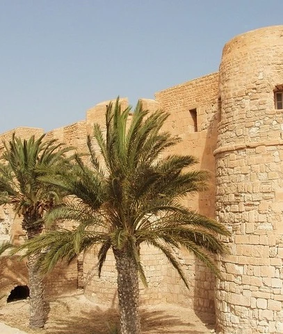 11504074801770-tunisiadjerbaatoz-1-17773525804786.jpg