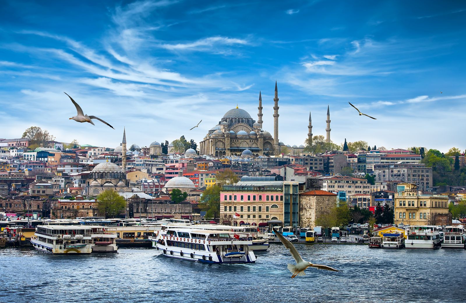 2349-istanbul-17731610274877.jpg