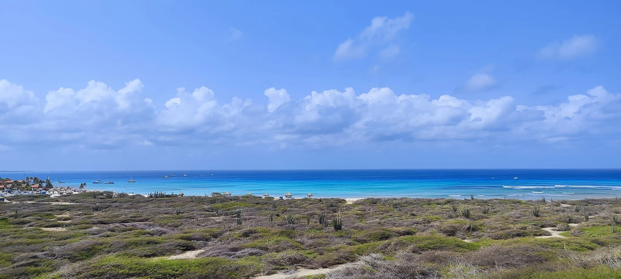 3238-karibski-kruiz-s-maiami-08-03-2024-aruba-5--17925002304328.jpg