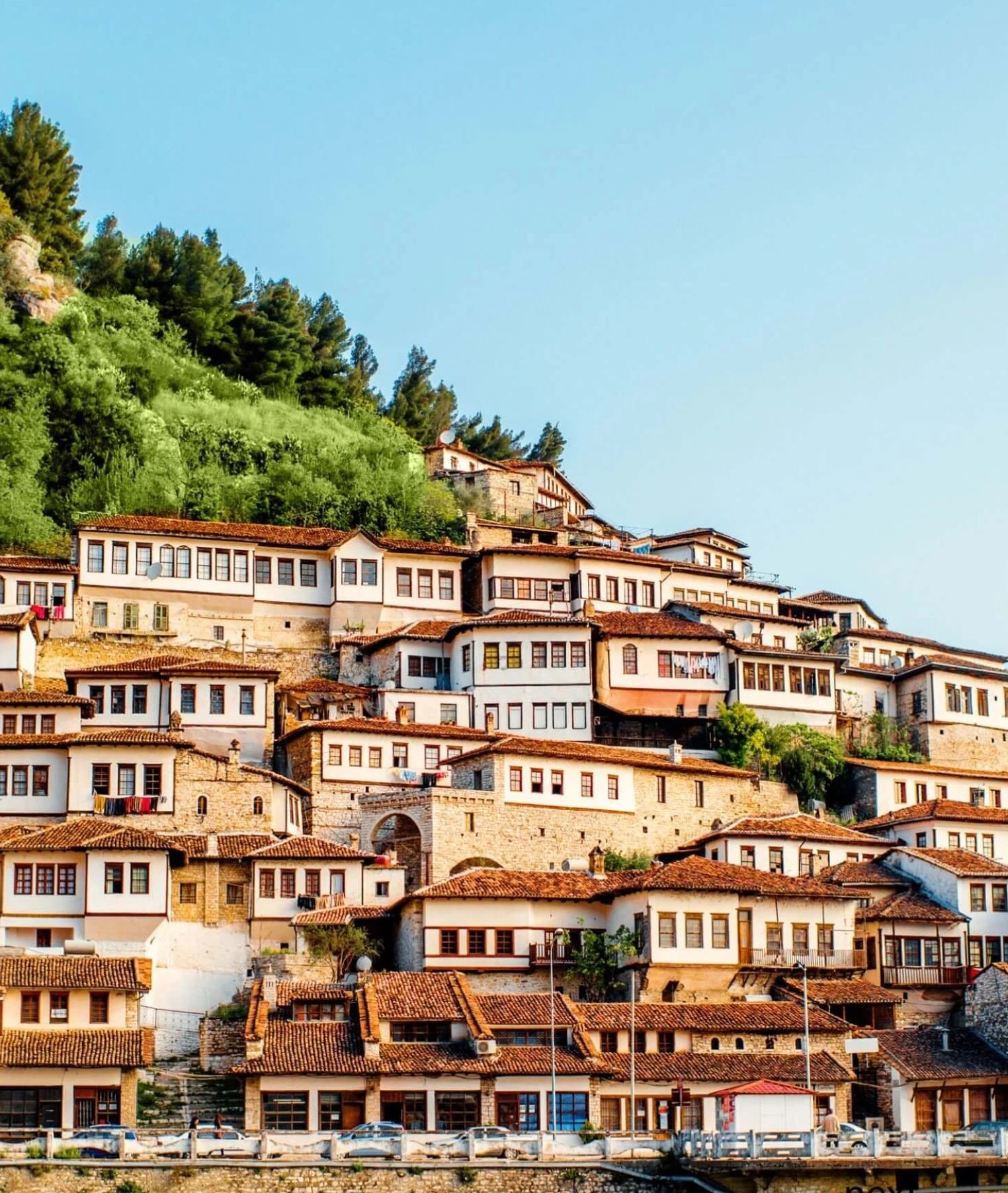 5110152418041649-berat-scaled-17772658115442.jpg