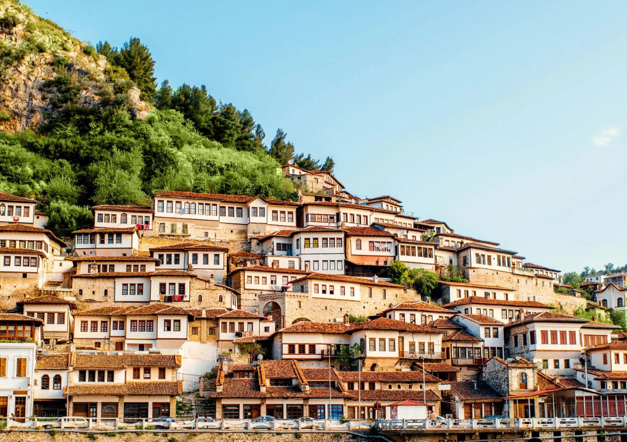 803-berat-scaled-17731241777283.jpg