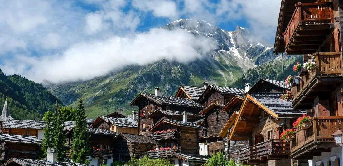 896-shveytsarska-magiya-s-materhorn-ot-varna-91769779809-17909470489041.jpg