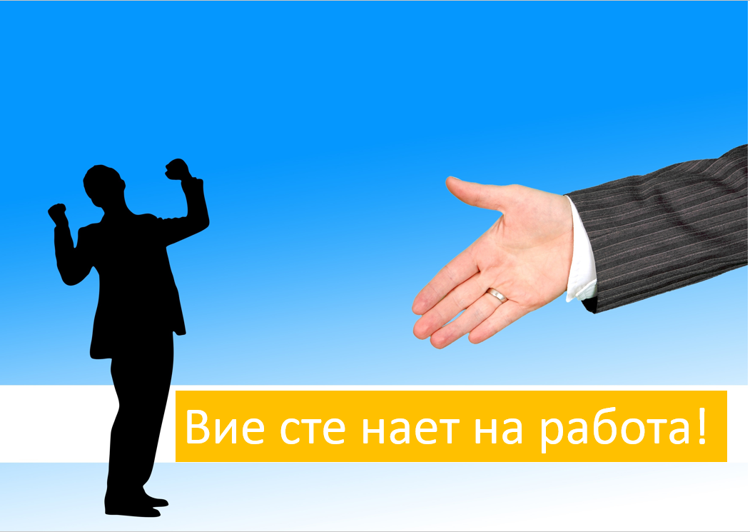 861-naet-ste.png