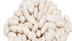 057250144588-white-beans-16744661151338.png