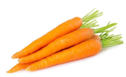 453-carrot-16743137434216.png