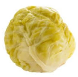 570-sour-cabbage-16744599664416.png