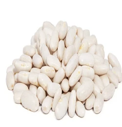 576-white-beans-16744661151338.png