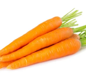 620290254408-carrot-16743137434216.png