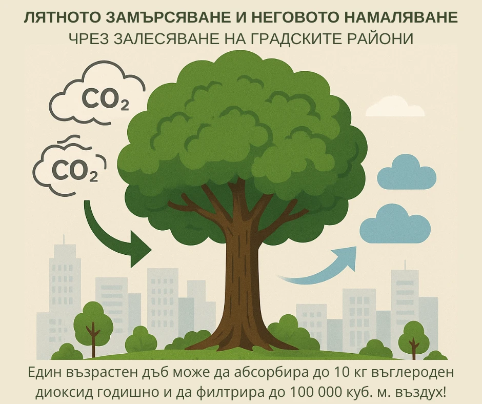Лятното замърсяване и неговото намаляване чрез залесяване на градските райони