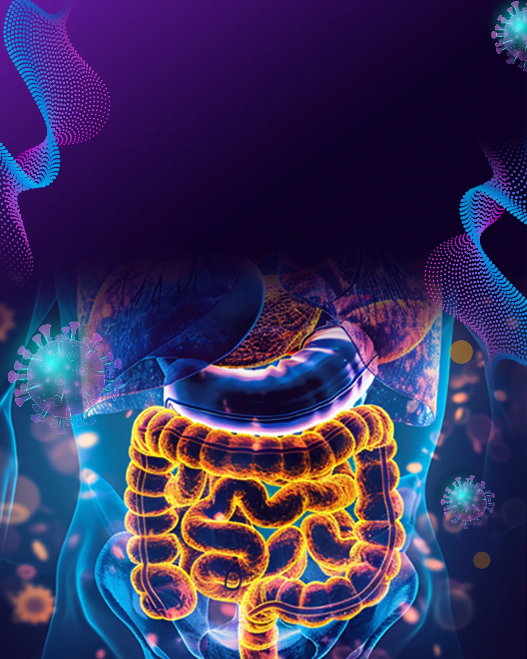 r185-gastroenterlogy---website-2026---bkg-17749477089877.png