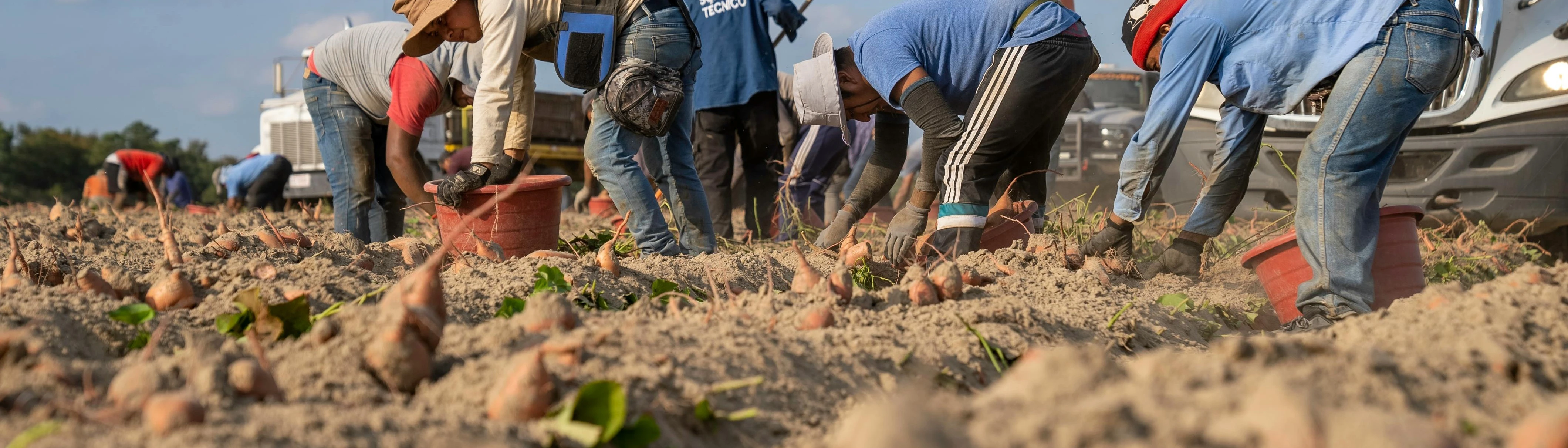 Сезонни работници от трети страни за земеделие