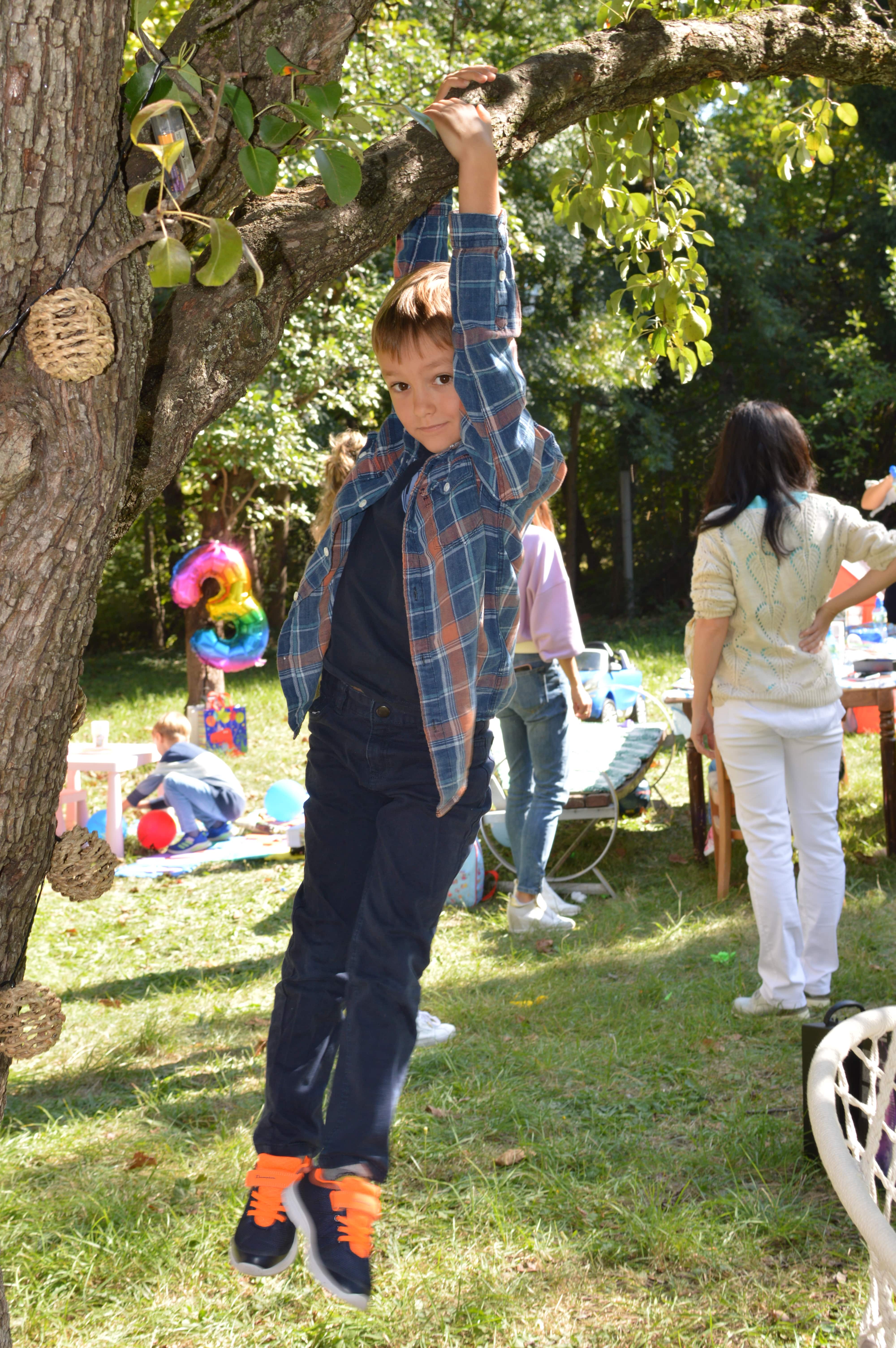 В търсене на радостта