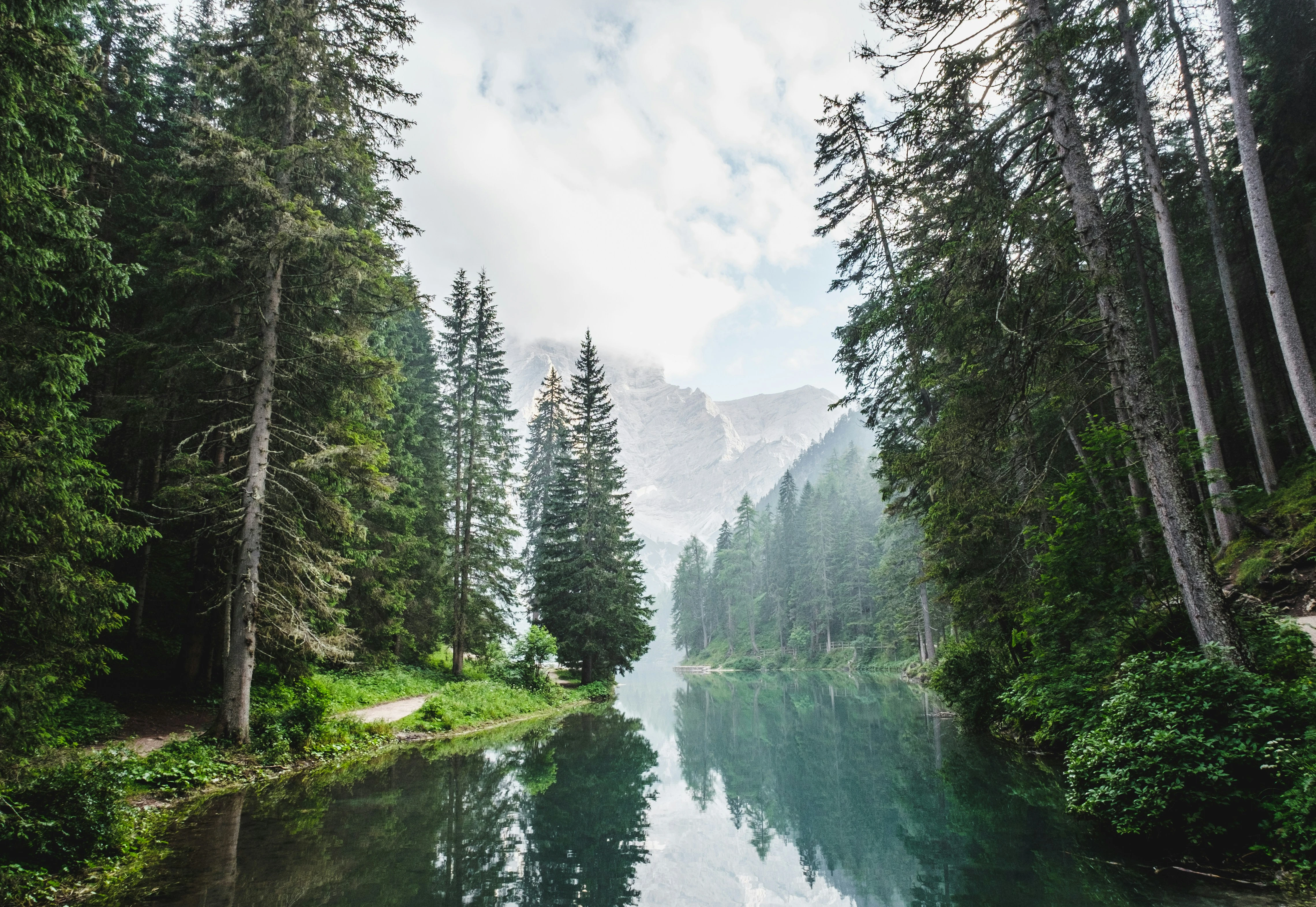 119-luca-bravo-eskw2ayo2as-unsplash-1738500831729.jpg