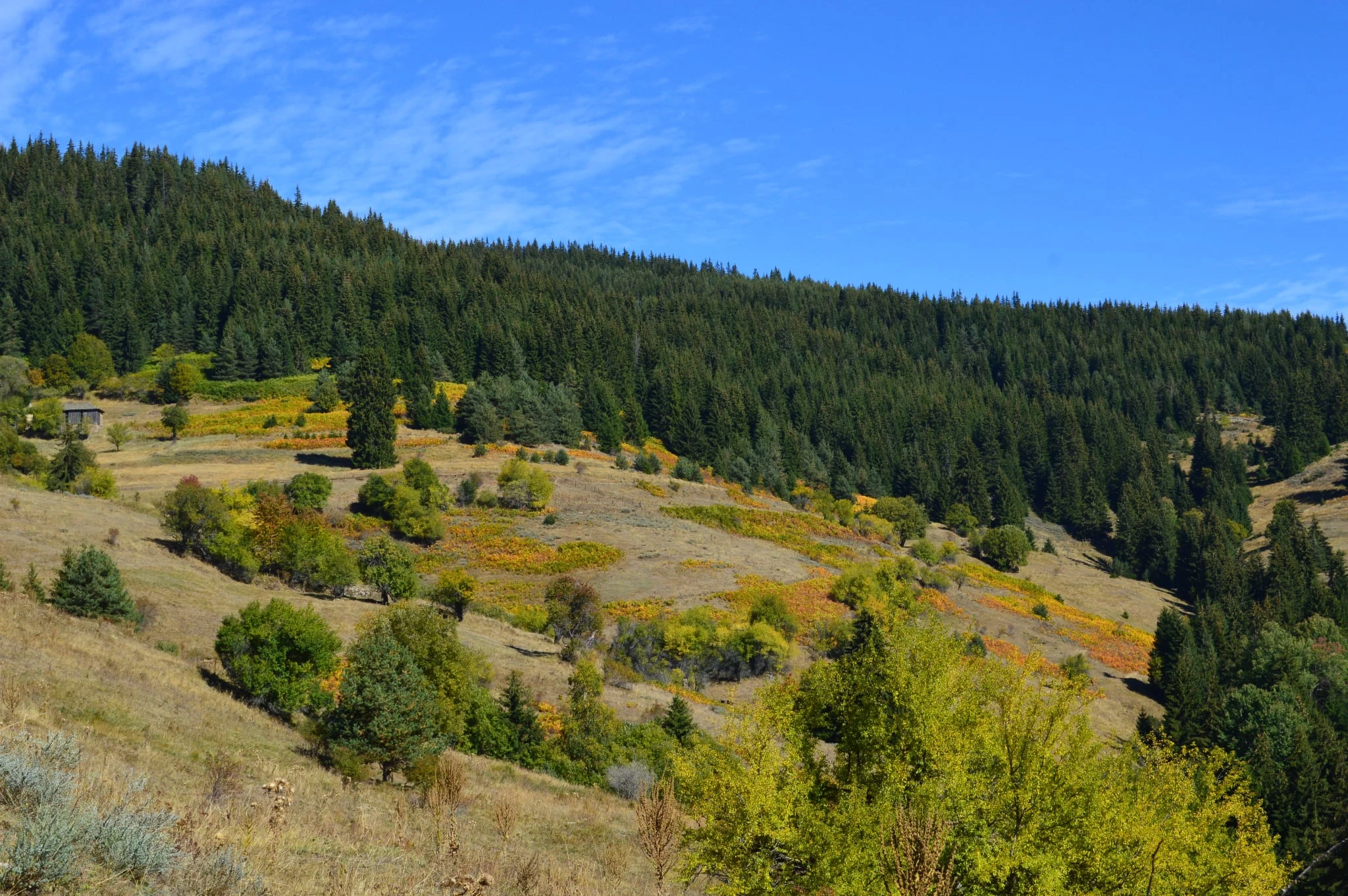 Legal and Regulatory Framework Applicable to Small Forest Owners in Bulgaria
