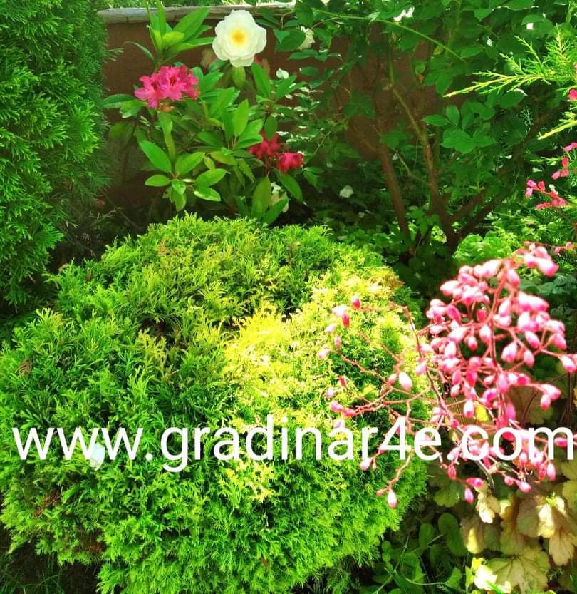 ЗА НАС - gradinar4e.com