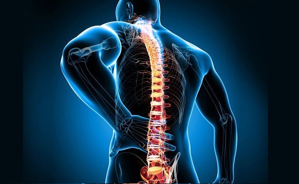 Сегментарно изследване на гръбнака