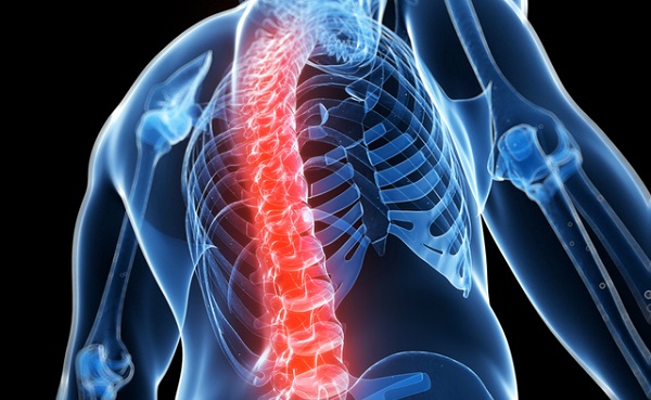 Гръбначно училище