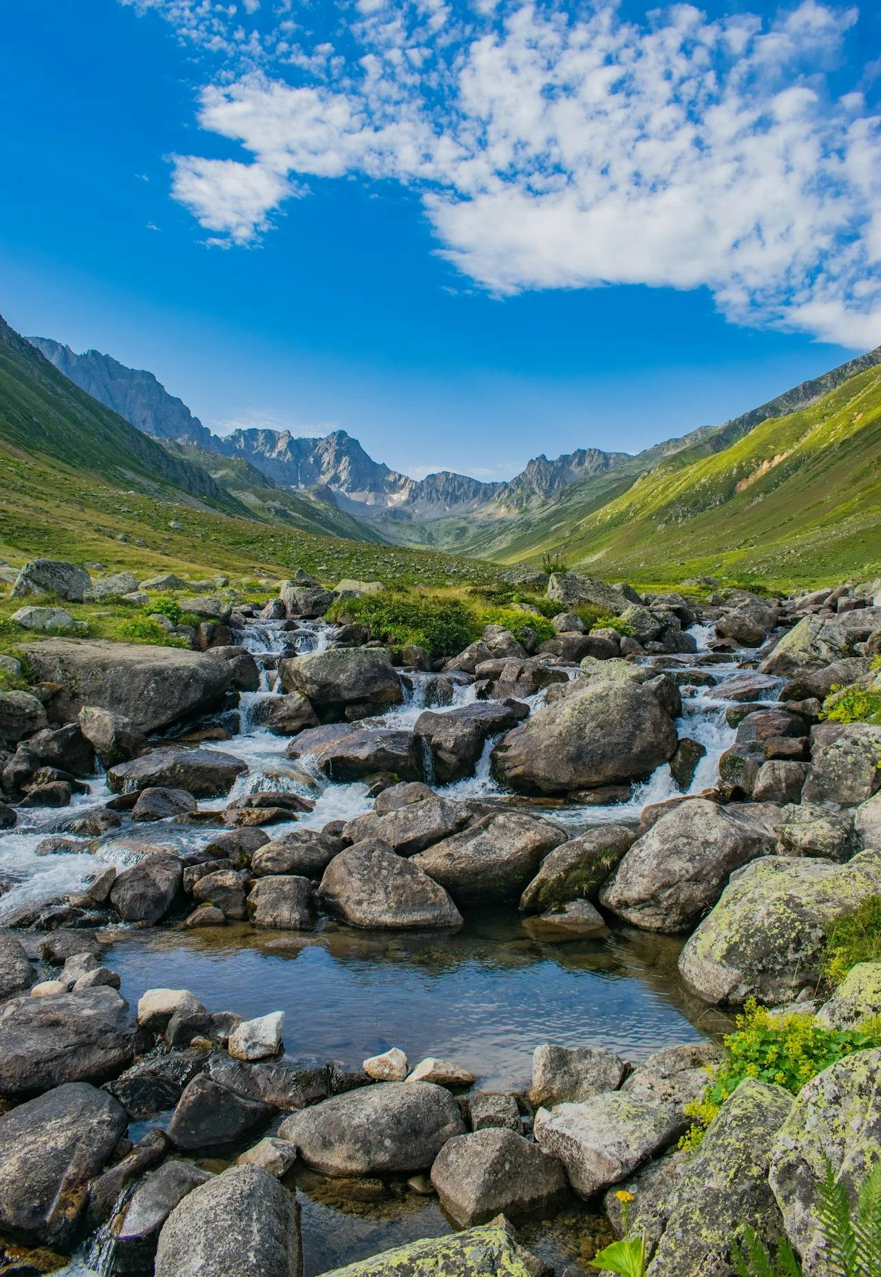 06412801856521-pexels-photo-18546767-17280305553345.jpeg