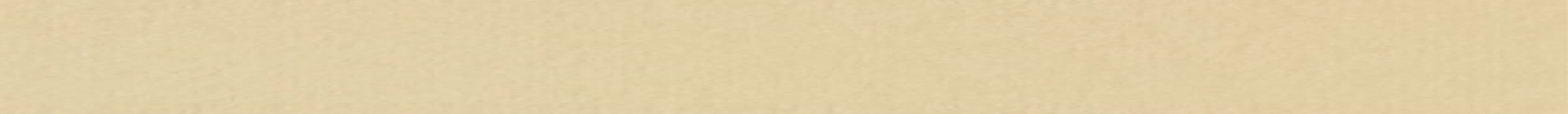 194-r133-web-back-17437527916369.png