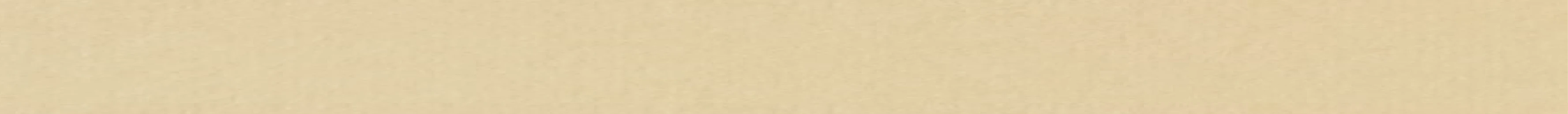 r162-web-back-17437527916369.png