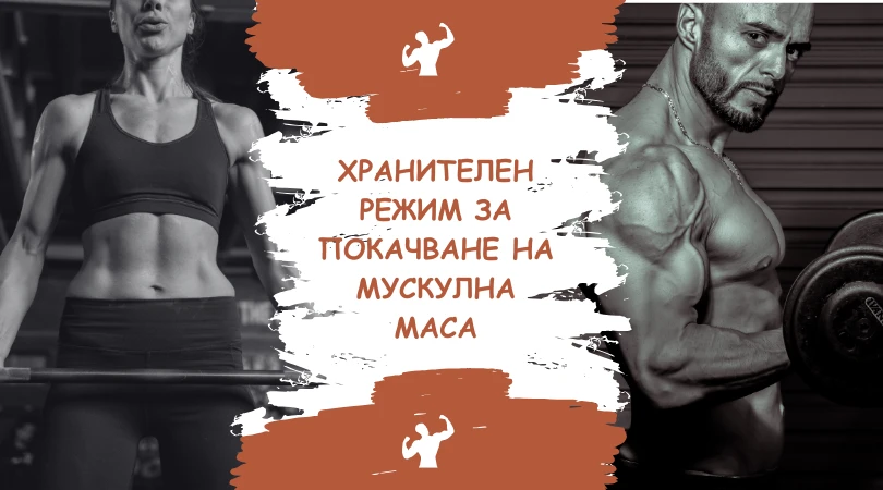1124-хранителен-режим-за-покачване-на-мускулна-маса-1-17289811195293.png