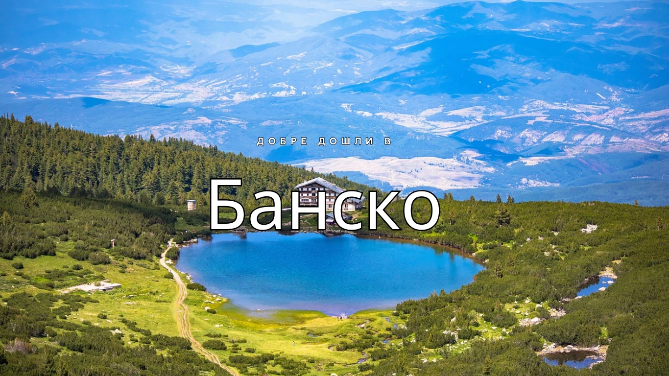 497-hotels-business-website-3-17401402672935.png