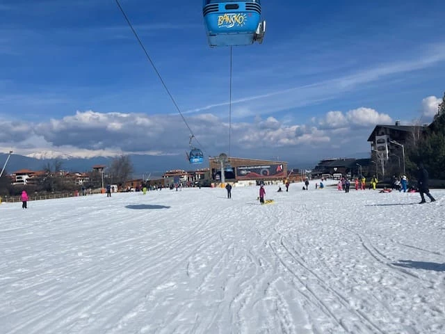 512-image3-2-17307254434105.jpeg