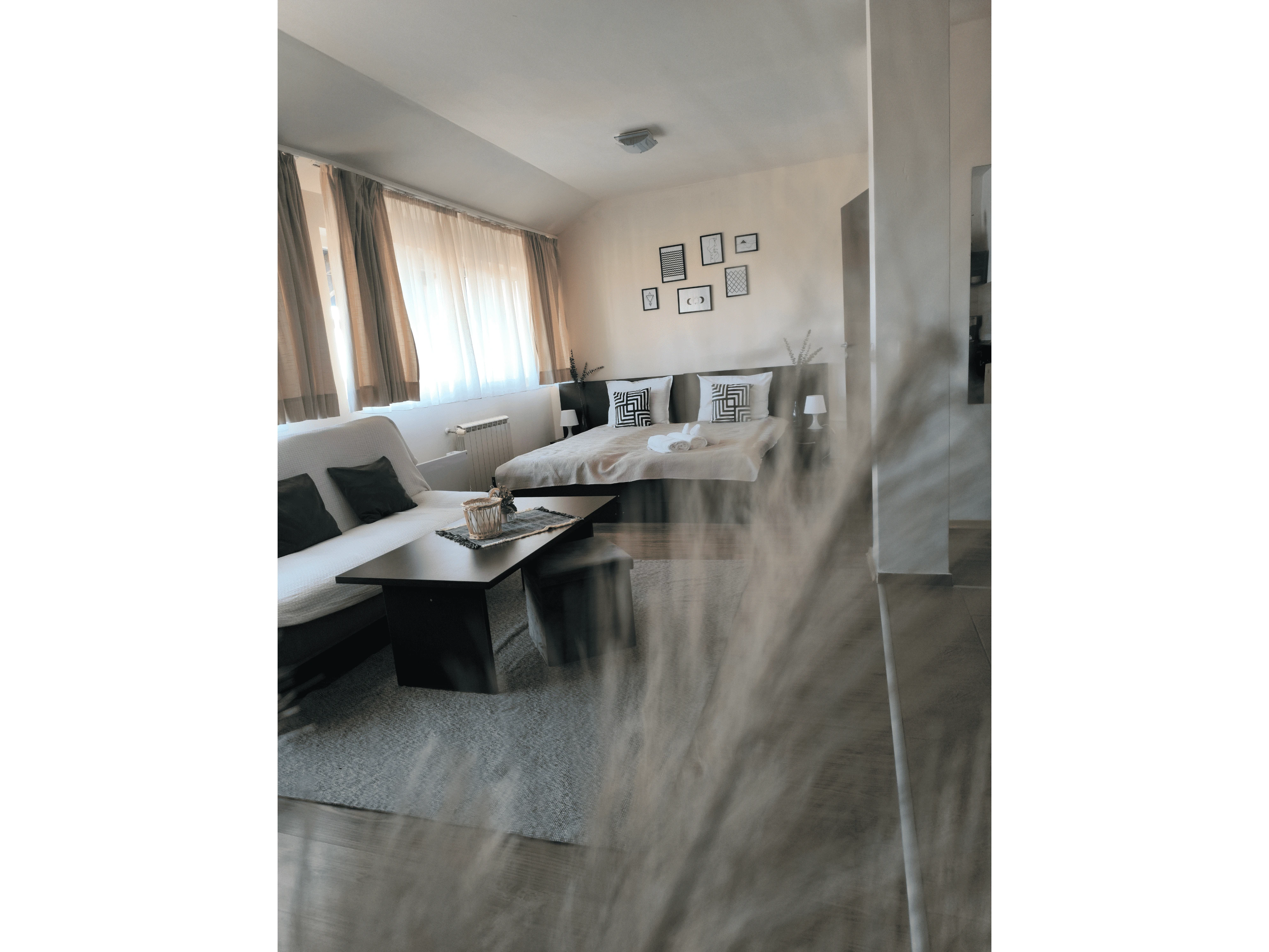 532-untitled-design-57-1730723110339.png