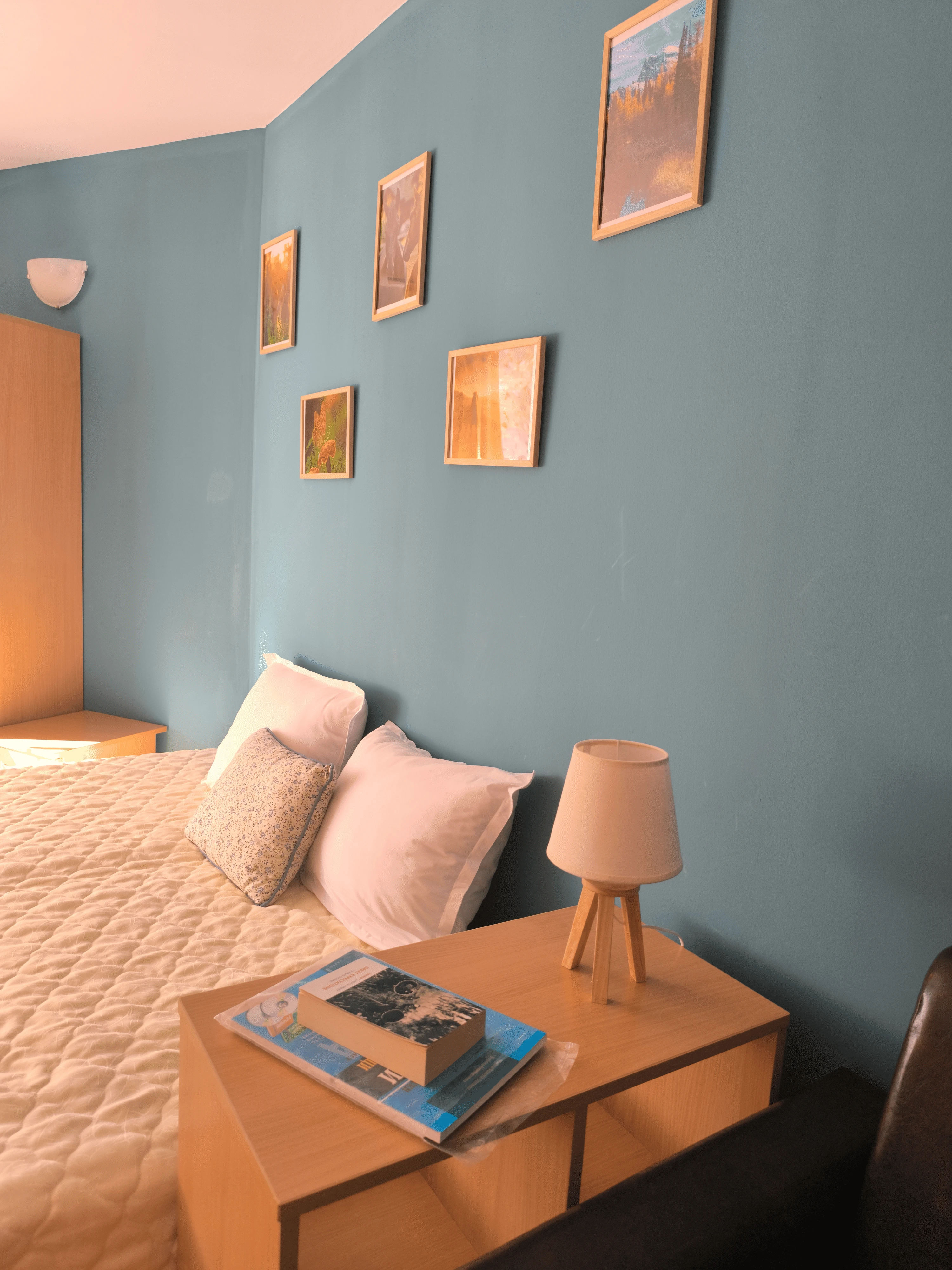 544-untitled-design-68-17307240472111.png