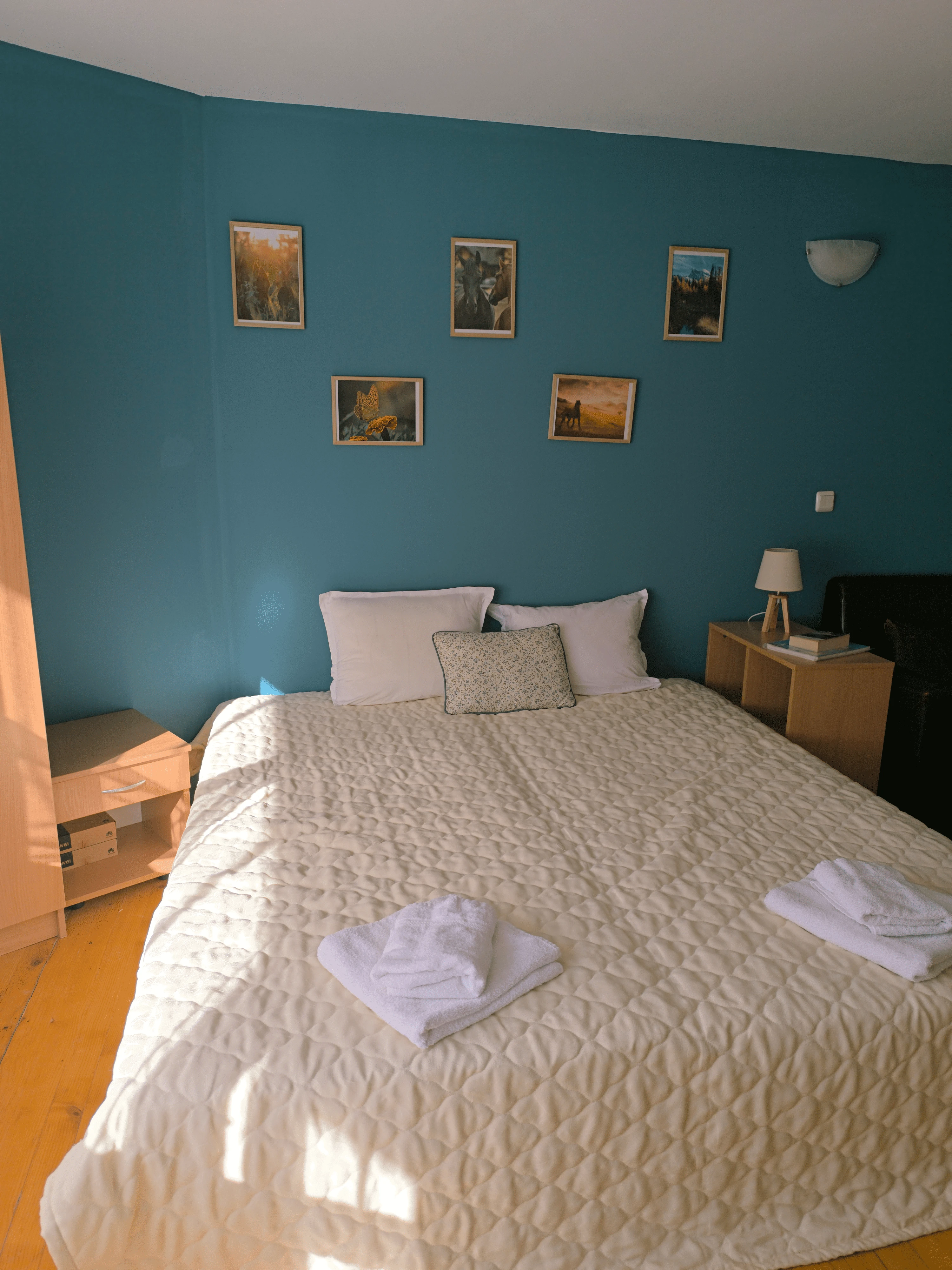 544-untitled-design-71-17307240568056.png