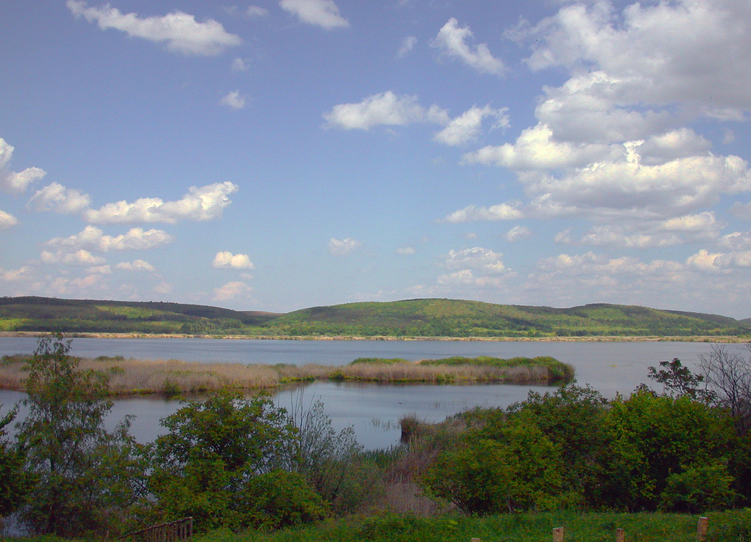 866-dscn6304z.jpg