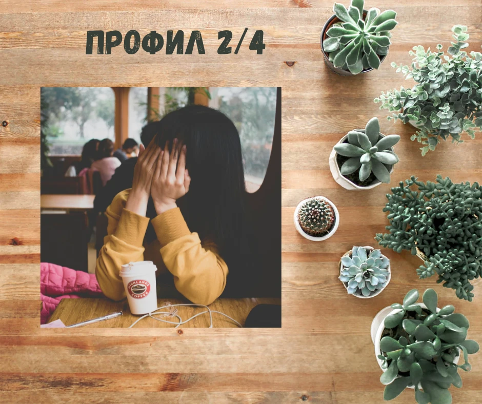 ПРОФИЛ 2/4