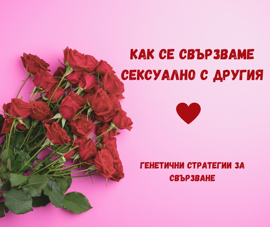 Как се свързваме сексуално с другия